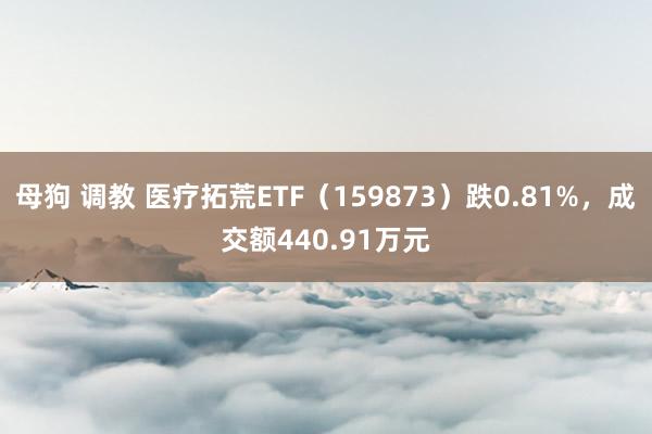 母狗 调教 医疗拓荒ETF（159873）跌0.81%，成交额440.91万元