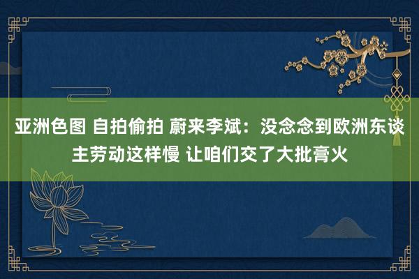 亚洲色图 自拍偷拍 蔚来李斌：没念念到欧洲东谈主劳动这样慢 让咱们交了大批膏火