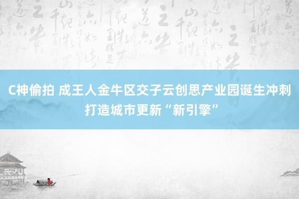 C神偷拍 成王人金牛区交子云创思产业园诞生冲刺 打造城市更新“新引擎”