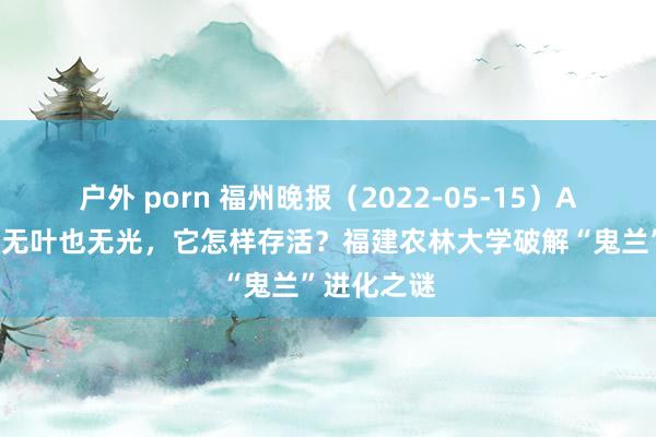 户外 porn 福州晚报（2022-05-15）A2版：无根无叶也无光，它怎样存活？福建农林大学破解“鬼兰”进化之谜