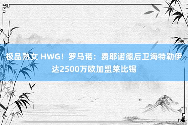 极品熟女 HWG！罗马诺：费耶诺德后卫海特勒伊达2500万欧加盟莱比锡