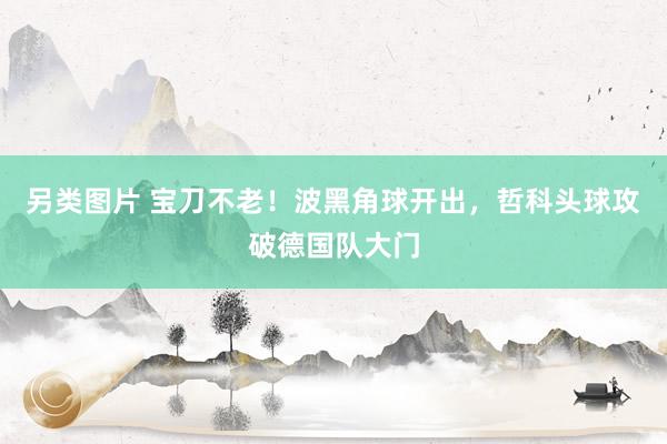 另类图片 宝刀不老！波黑角球开出，哲科头球攻破德国队大门