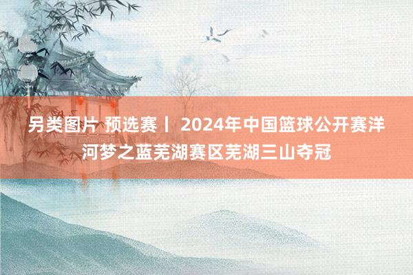 另类图片 预选赛丨 2024年中国篮球公开赛洋河梦之蓝芜湖赛区芜湖三山夺冠