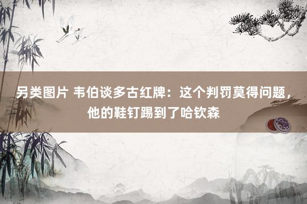 另类图片 韦伯谈多古红牌：这个判罚莫得问题，他的鞋钉踢到了哈钦森